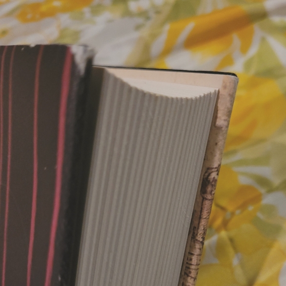 The Historian by Elizabeth Kostova - Picture 5 of 8